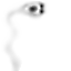 inscription 65e2ca16ca01b458f01c6e2760b3a8fcffa4e8567c973eafbbca0280ee57fb1bi29